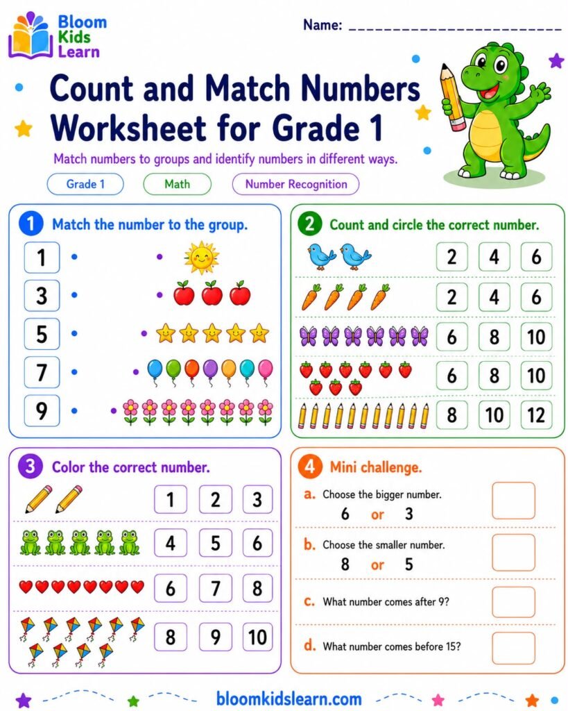 Grade 1 count and match numbers worksheet preview