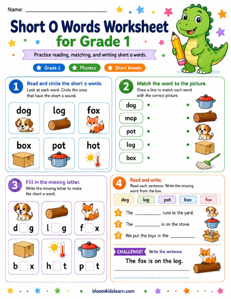 Short O Words Worksheet for Grade 1 — worksheet preview